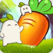 暖心小院子手机版下载